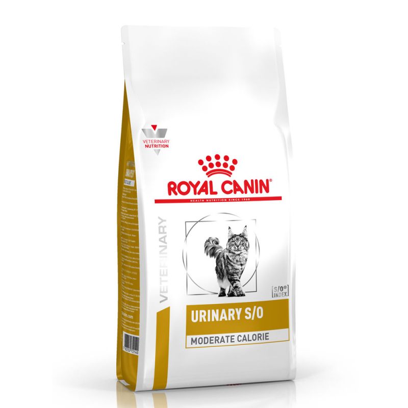 urinary stones cystitis cats food royal canin viking vets