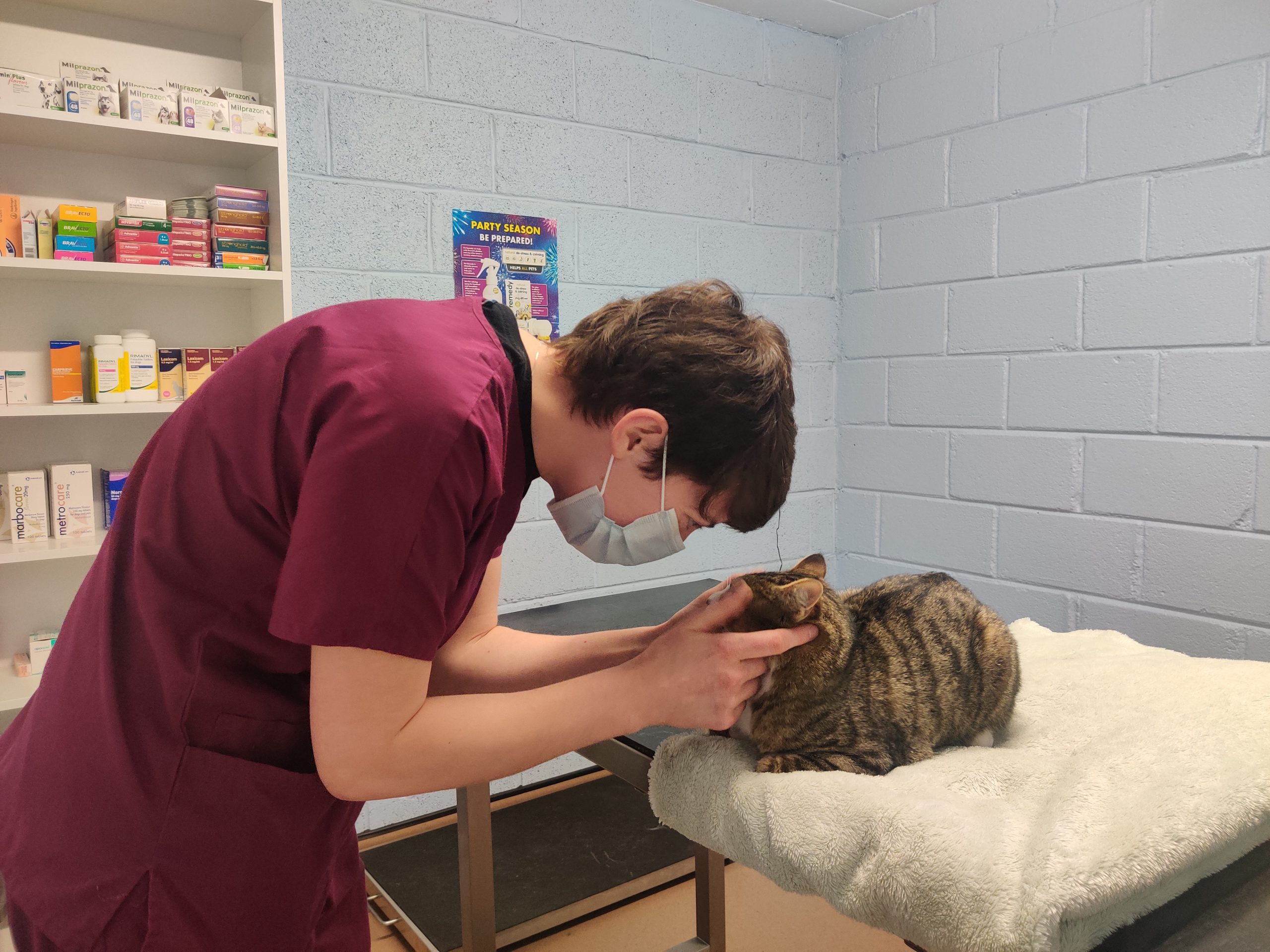 vet nurse cat care clinic waterford