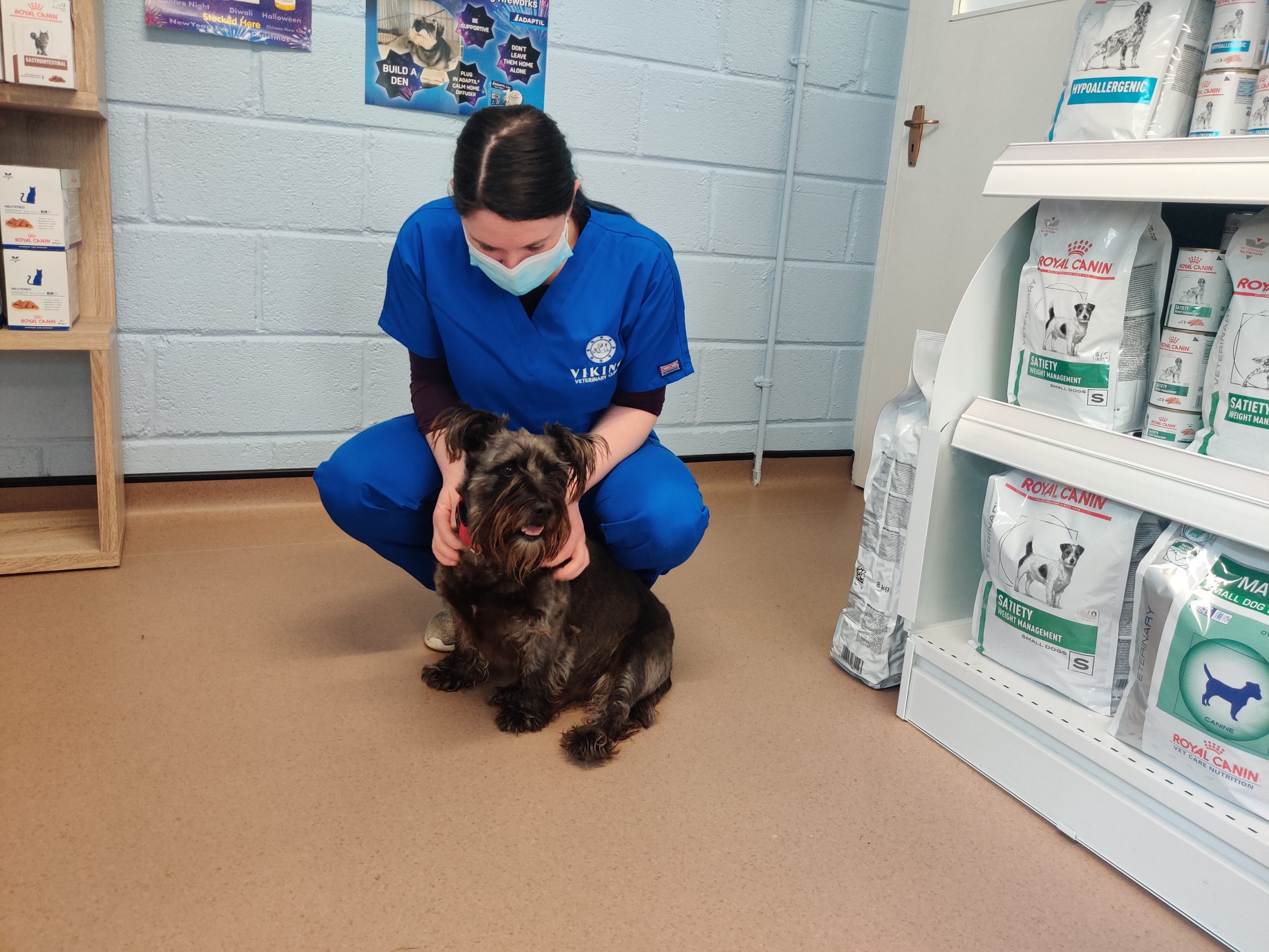 vet with dog clinic